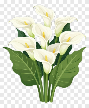 White Calla Lily Bouquet PNG