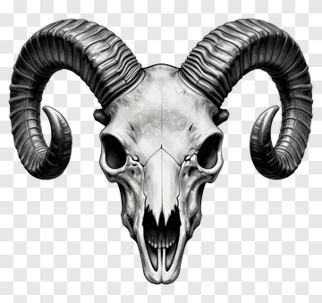 Ram Skull With Curved Horns PNG