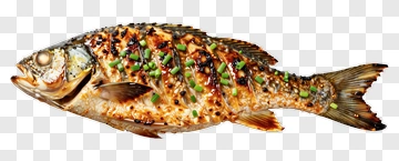 Grilled Fish With Herbs PNG