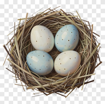 Nest With Blue And White Eggs PNG