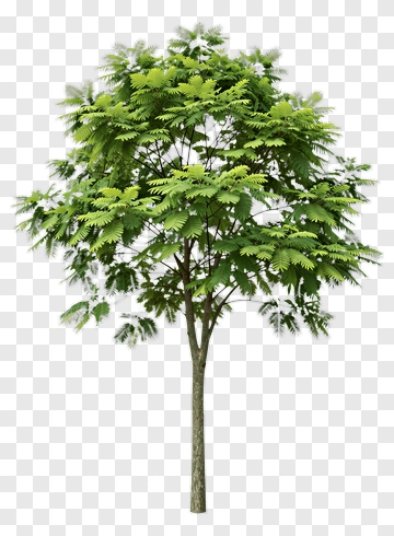 Green Tree PNG