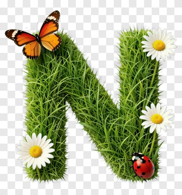 Butterfly And Ladybug On Grass Letter N PNG