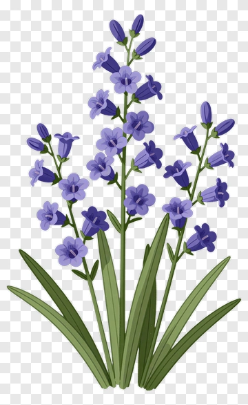 Colorful Bellflower Plant PNG