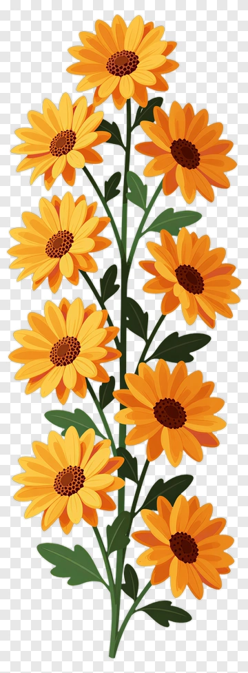 Colorful Sunflower Bouquet PNG