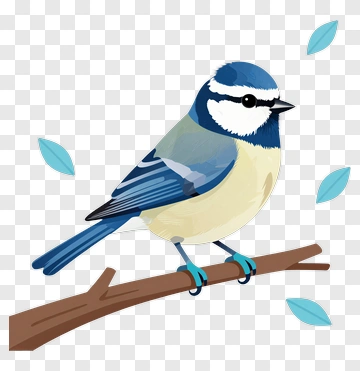 Blue Bird Sitting On A Branch PNG