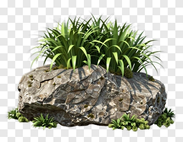 Rock With Grass And Plants PNG