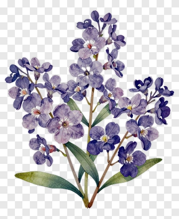 Watercolor Purple Orchid Bouquet PNG