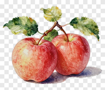 Watercolor Red Apples With Leaves PNG