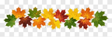 Colorful Autumn Maple Leaves PNG