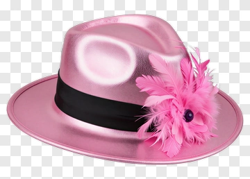 Pink Fedora Hat With Feather Decoration PNG
