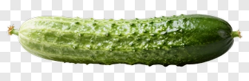Fresh Cucumber PNG