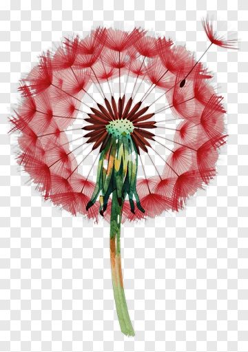 Watercolor Dandelion Flower With Seeds PNG