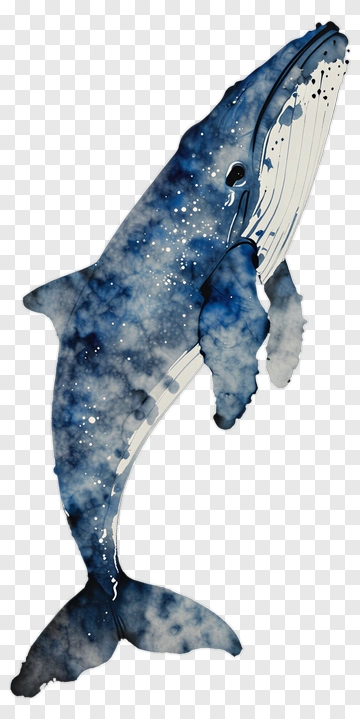 Watercolor Whale PNG