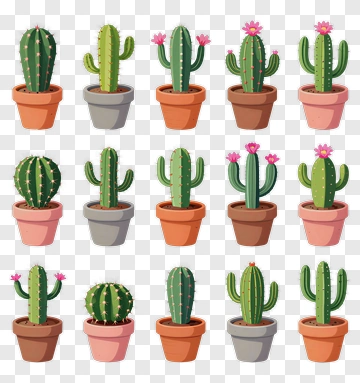 Colorful Cacti In Flower Pots PNG