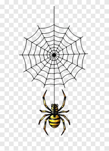 Cartoon Spider Hanging From A Web PNG