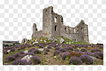 Ruined Castle Surrounded By Lavender Fields PNG