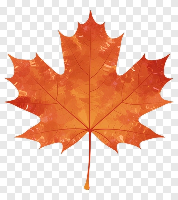 Orange Maple Leaf PNG