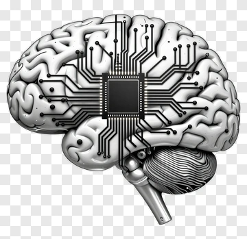Human Brain With Circuit Board Design PNG