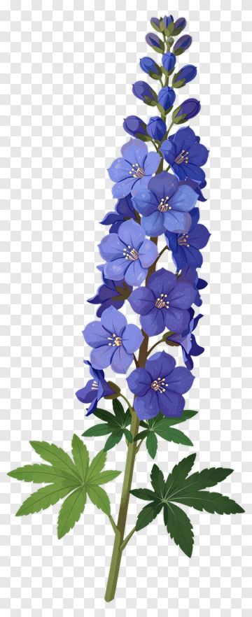 Blue Delphinium Flower PNG