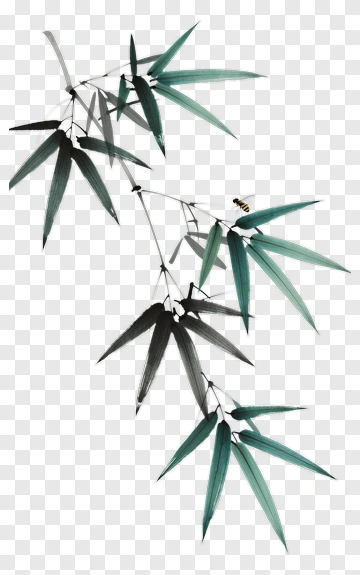 Bamboo Branch With Bee PNG