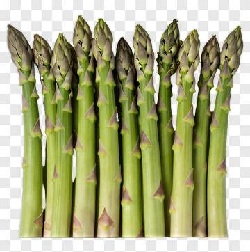 Fresh Asparagus Stalks PNG