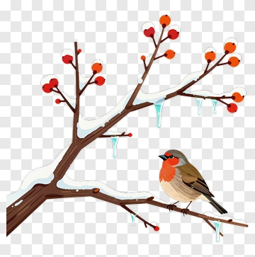 Bird Sitting On A Snowy Branch With Berries PNG