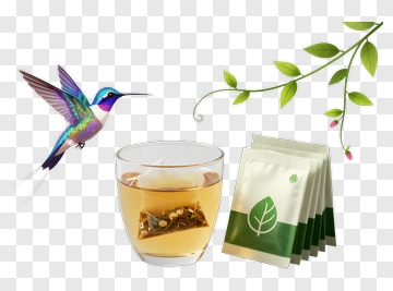 Hummingbird With Tea And Tea Bags PNG