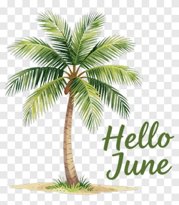 Palm Tree With Hello June Text PNG
