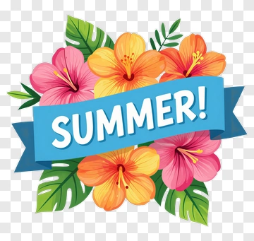 Colorful Summer Floral Arrangement PNG