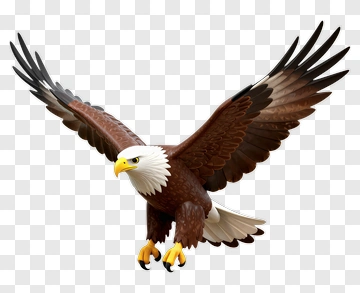 3D Eagle In Flight PNG