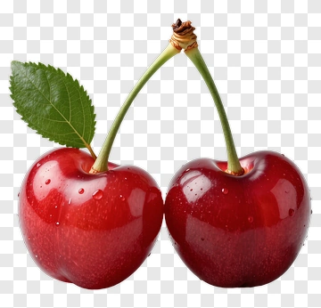Pair Of Red Cherries With Leaf PNG