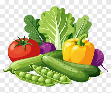 Colorful Vegetable Arrangement PNG