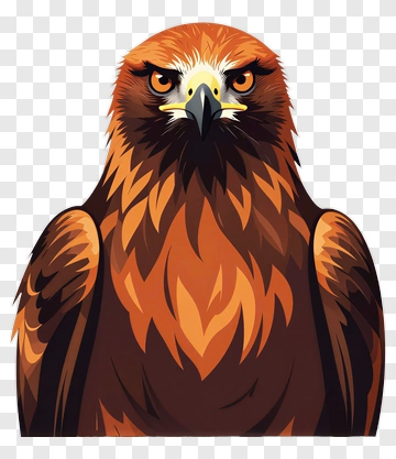 Cartoon Eagle With Bold Features PNG