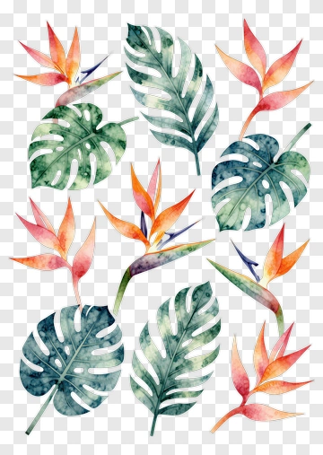 Colorful Tropical Leaves And Flowers PNG
