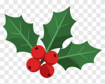 Holly Leaves With Red Berries PNG