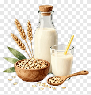 Oat Milk With Oats And Wheat Stalks PNG