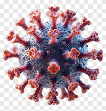 3D Virus Model PNG