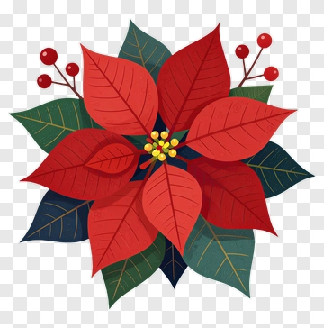 Colorful Poinsettia Flower Arrangement PNG