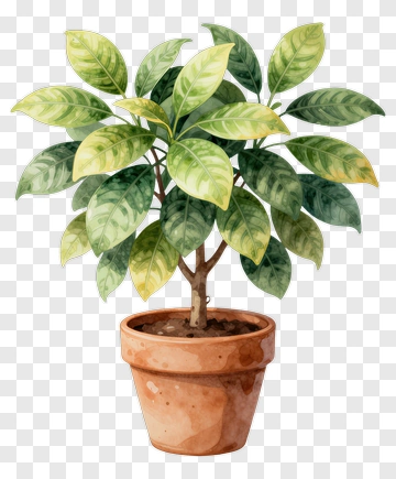 Watercolor Potted Plant PNG