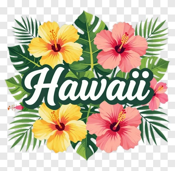 Hawaii Floral Design With Hibiscus Flowers PNG