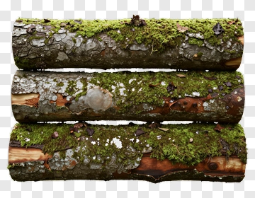 Mossy Logs Stacked Together PNG
