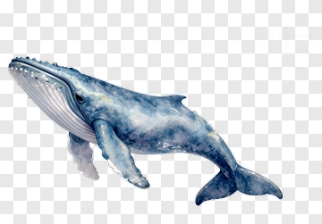 Watercolor Blue Whale PNG