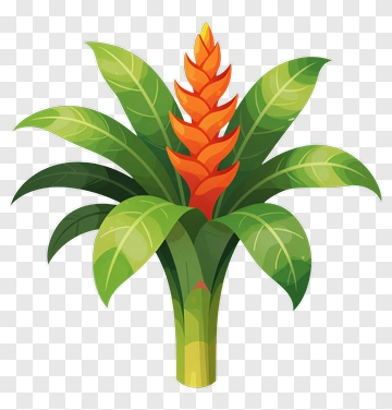 Colorful Tropical Plant With Orange Flowers PNG