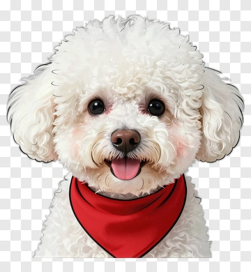 Cartoon Bichon Frise With Red Bandana PNG