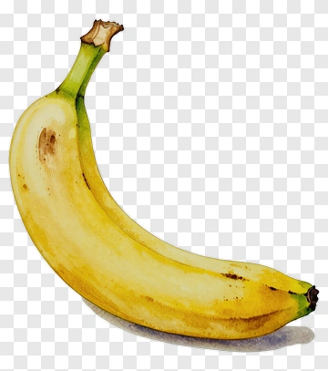 Watercolor Banana PNG