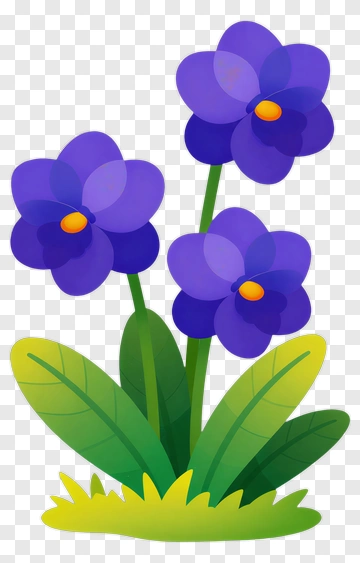 Colorful Violet Flowers PNG