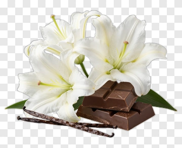 White Lily Flowers With Chocolate Bars PNG