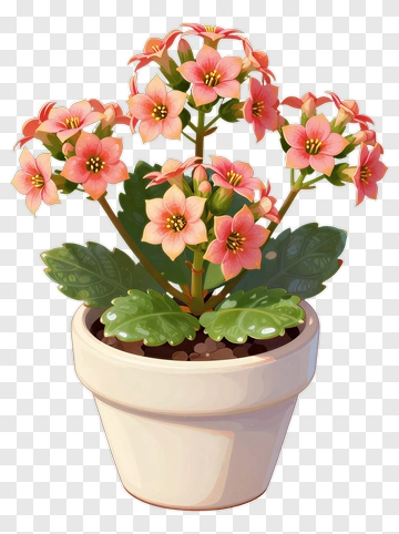 Colorful Potted Flower Plant PNG