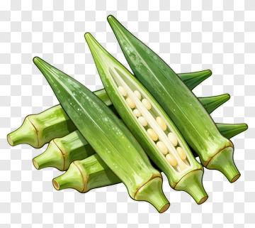 Fresh Okra Vegetable PNG