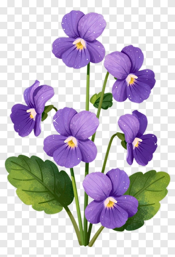 Purple Violet Flower Bouquet PNG